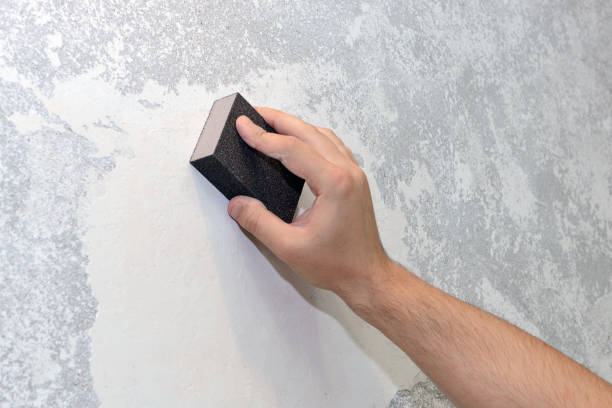 Best Mold Remediation for Vacation Homes  in Seville, OH