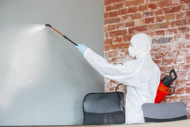 Mold Remediation for Rental Properties in Seville, OH