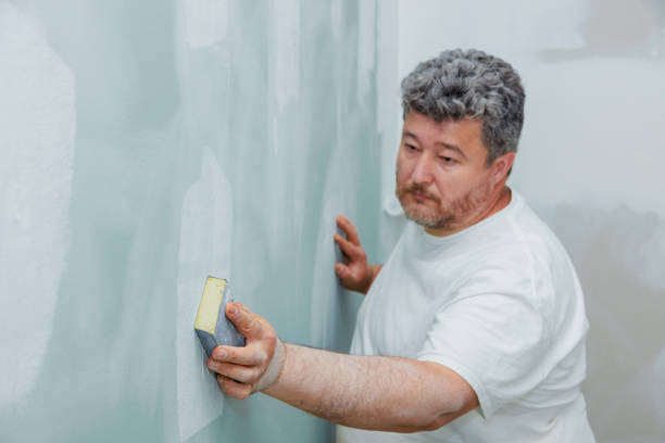 Best Mold Damage Restoration  in Seville, OH