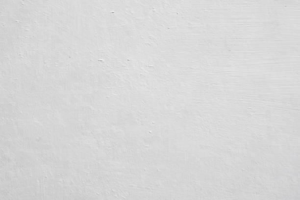 Best Basement Mold Removal  in Seville, OH